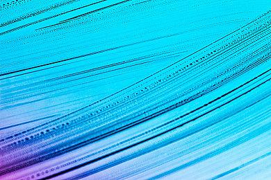 《艾尔登法环》或很快更新光追特性 V1.07版现端倪